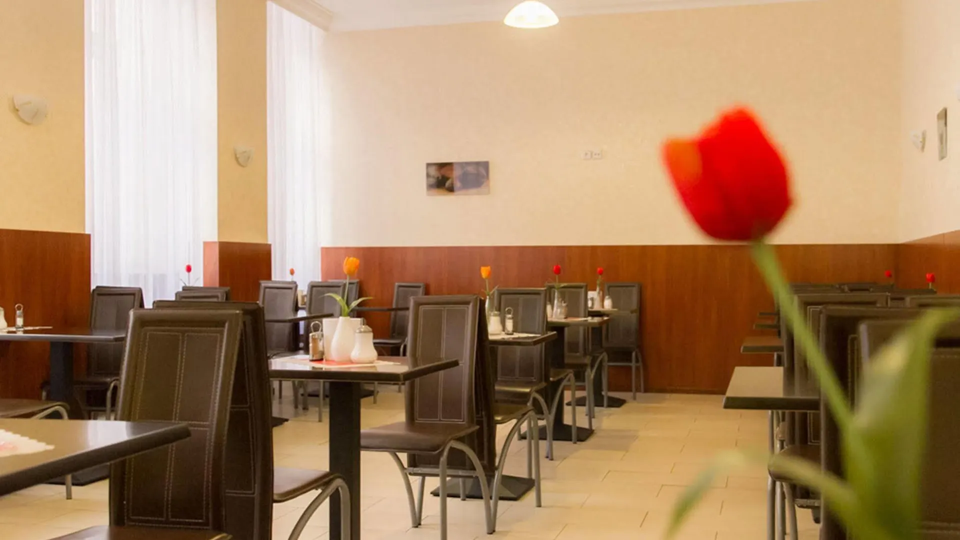 Lebensquelle Am Checkpoint Charlie Hotel Berlin